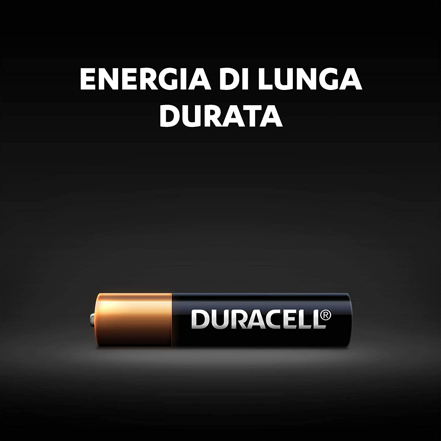 Duracell batteria specialistica AAAA alcalina 1.5V 2pz LR8D425 MN2500