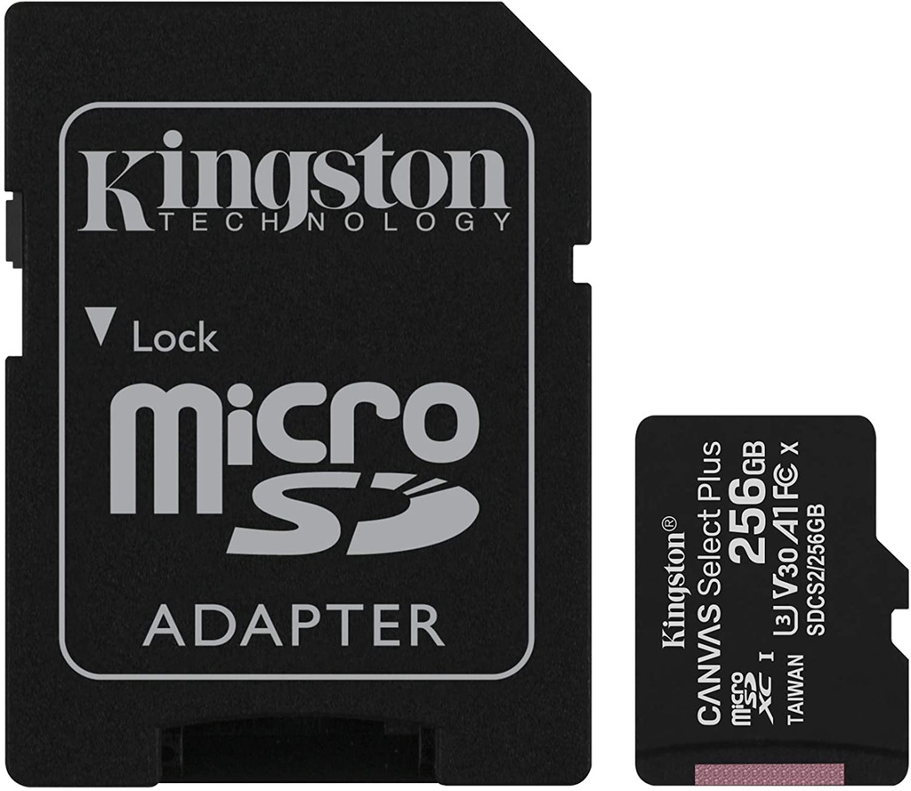 MicroSd 256GB Kingston classe 10 SDCS2/256GB micSDHC canvas select plus 100MB/s con adattatore