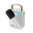 Techmade Karaoke Speaker white TM-K2-WH