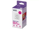 WiZ Smart Plug Wi-FI con Alexa e Google Home White 9290024276