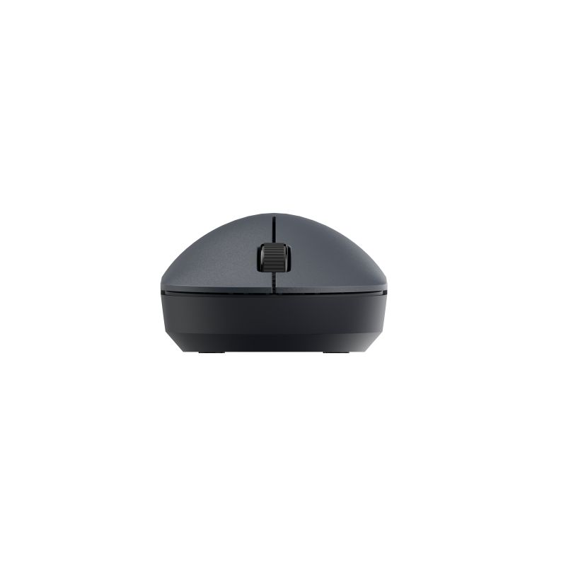 Xiaomi Mouse Wireless Lite 2 Black BHR8916GL