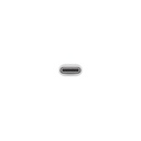 Apple adattatore USB-C a USB MJ1M2ZM/A