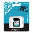 Kingston SD 256GB Canvas Go! Plus SDG4/256GB.webp