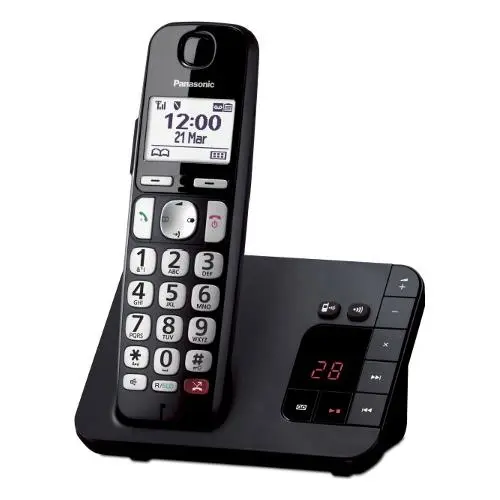 Panasonic Cordless DECT Black KX-TGE260JTB