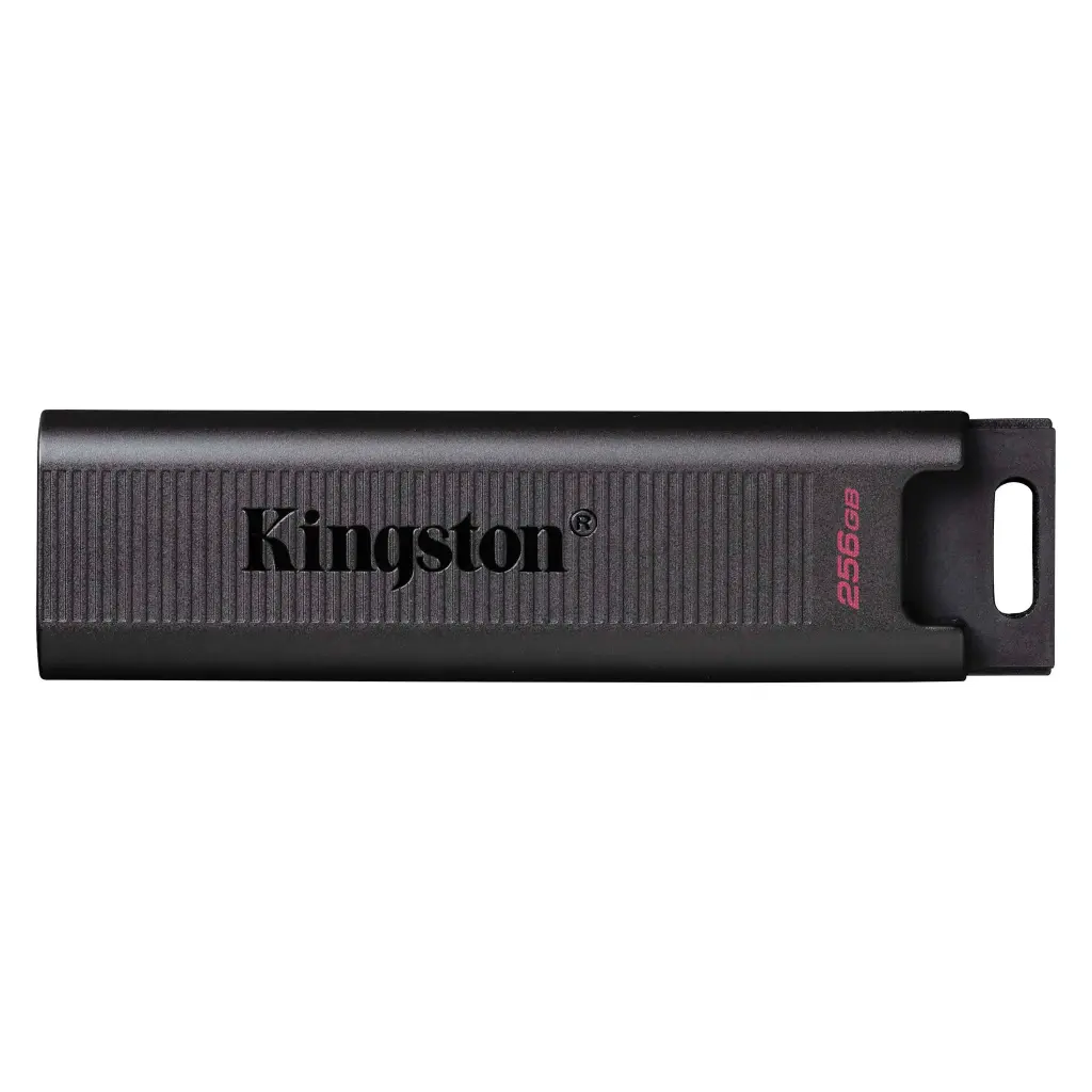 Kingston Pen Drive 256GB Type-C DTMAX/256GB