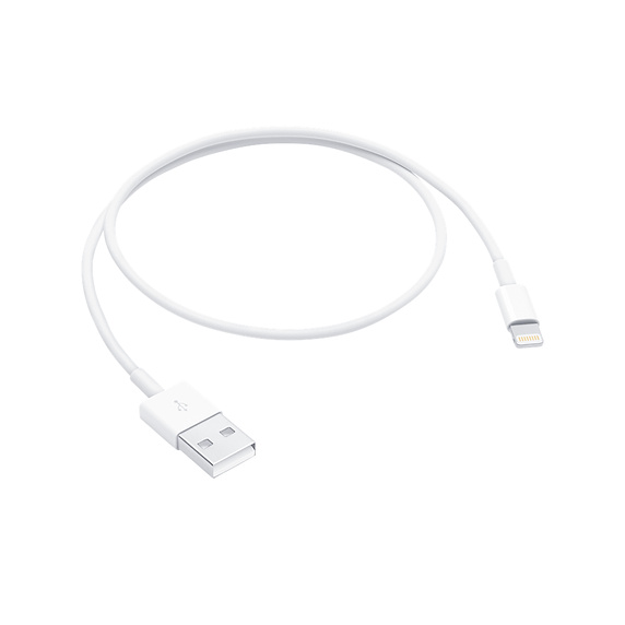 Apple Cavo Dati Lightning A1511 0.5mt ME291ZM/A